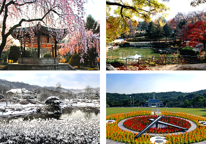 Managing to the Sanctuary